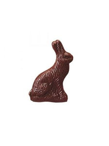 2.5oz. Solid Chocolate Rabbit